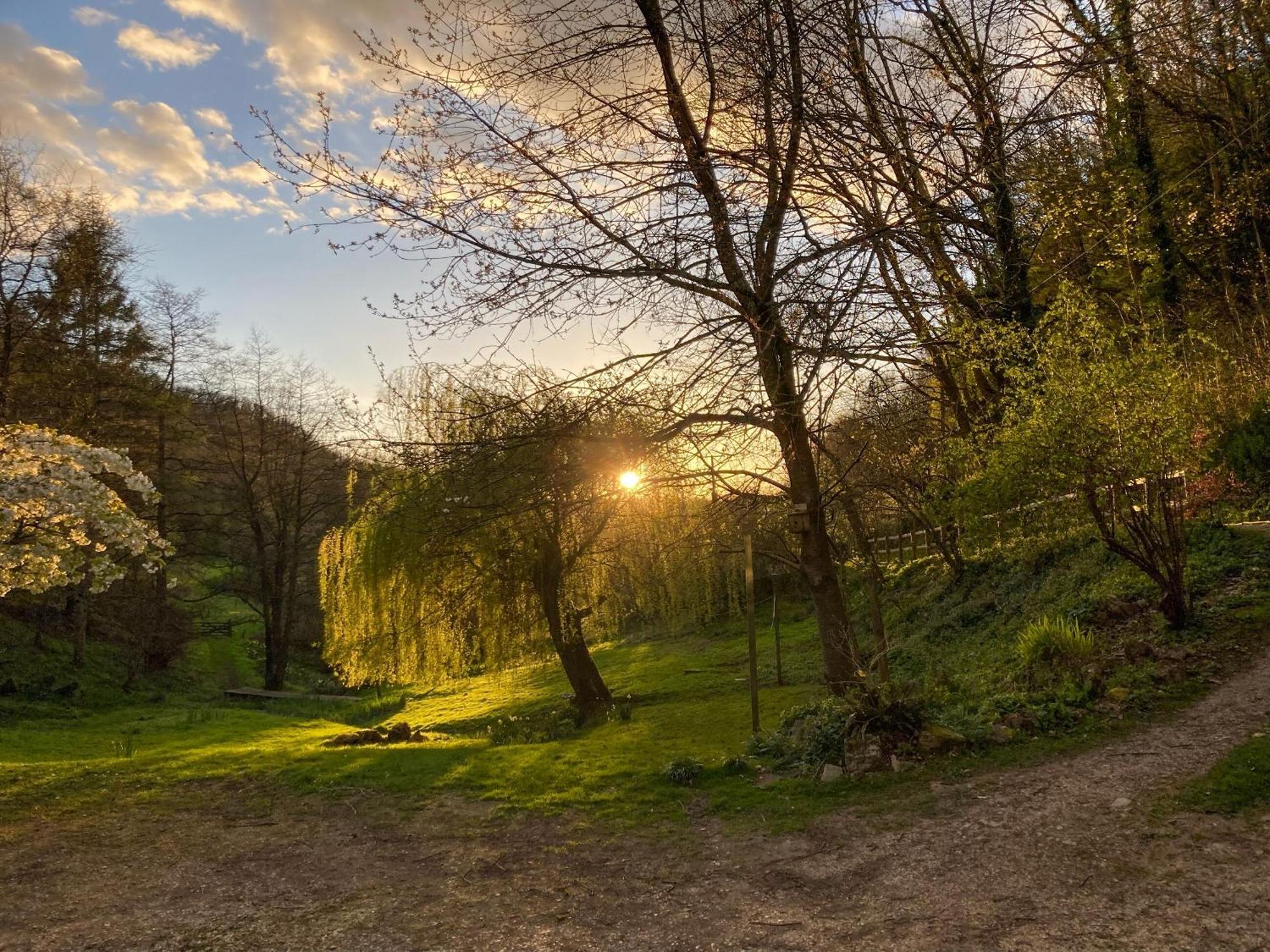 Driftcombe Farmhouse Bisley  エクステリア 写真